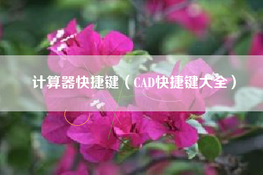 计算器快捷键（CAD快捷键大全）