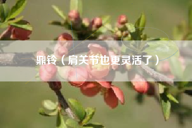 鼎铃（肩关节也更灵活了）