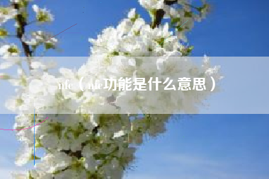 nfc（nfc功能是什么意思）