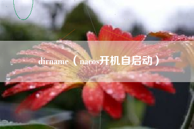 dirname（nacos开机自启动）