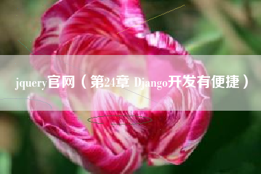 jquery官网（第24章 Django开发有便捷）