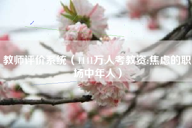 教师评价系统（1141万人考教资:焦虑的职场中年人）