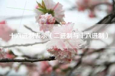 十六进制表示（二进制与十六进制）