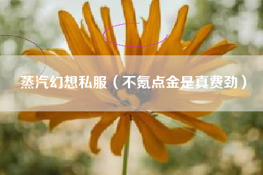 蒸汽幻想私服（不氪点金是真费劲）