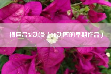 梅麻吕3d动漫（3D动画的早期作品）