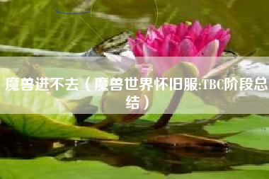 魔兽进不去（魔兽世界怀旧服:TBC阶段总结）
