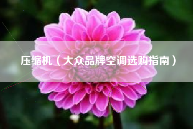 压缩机（大众品牌空调选购指南）