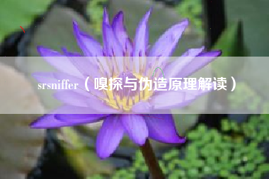 srsniffer（嗅探与伪造原理解读）