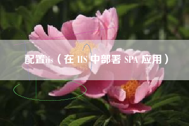 配置iis(在 IIS 中部署 SPA 应用)