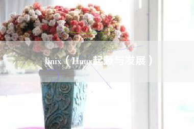 linix（Linux起源与发展）