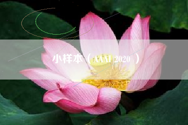 小样本（AAAI 2020 ）