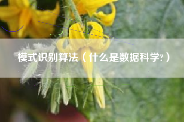 模式识别算法（什么是数据科学?）