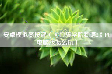 安卓模拟器按键（《口袋学院物语2》PC电脑版怎么玩）
