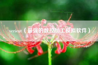 vericut(最强的数控加工模拟软件)
