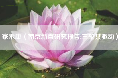 家禾康（南京新百研究报告:三轮共驱动）