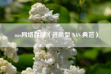 nas网络存储（进阶型 NAS 典范）