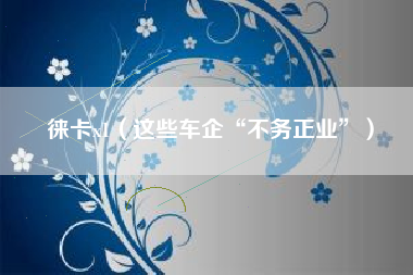 徕卡x1（这些车企“不务正业”）