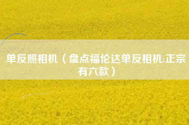 单反照相机（盘点福伦达单反相机:正宗有六款）