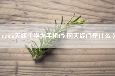 mimo天线(华为手机P30的天线门是什么)