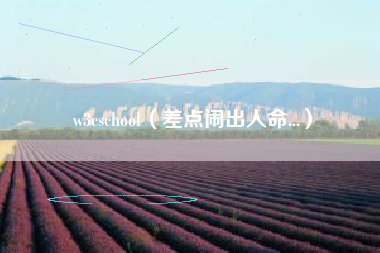 w3cschool（差点闹出人命...）