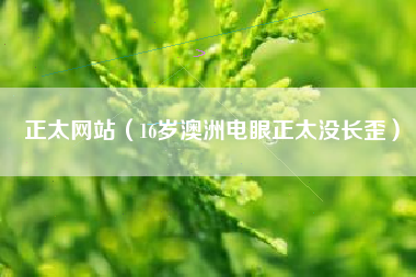 正太网站(16岁澳洲电眼正太没长歪)