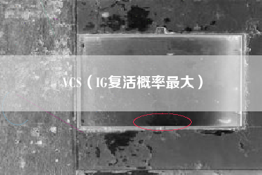 VCS（IG复活概率最大）