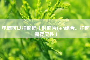电脑可以拍照吗（对照片1+N组合。拍照需要灵性）