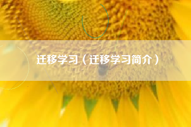 迁移学习（迁移学习简介）
