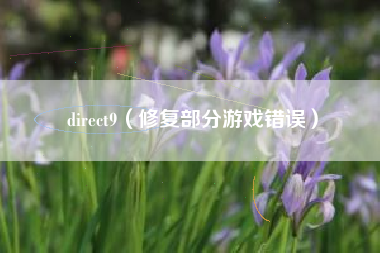 direct9（修复部分游戏错误）