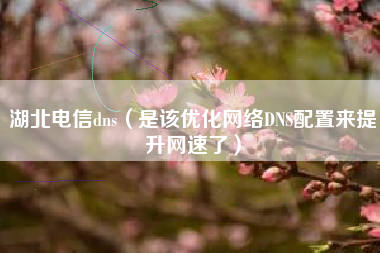 湖北电信dns（是该优化网络DNS配置来提升网速了）