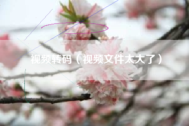 视频转码（视频文件太大了）