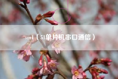 sm1(51单片机串口通信)