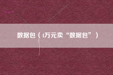 数据包（4万元卖“数据包”）
