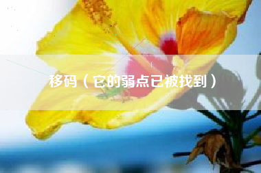 移码（它的弱点已被找到）
