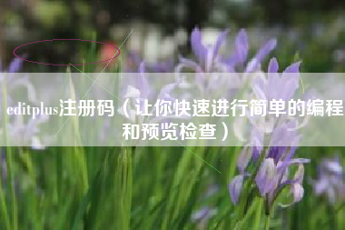 editplus注册码（让你快速进行简单的编程和预览检查）