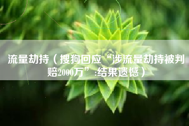 流量劫持（搜狗回应“涉流量劫持被判赔2000万”:结果遗憾）