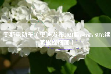 奥斯电动车（奥迪发布2021款e-tron SUV:续航里程增加）