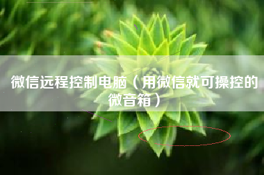 微信远程控制电脑（用微信就可操控的微音箱）