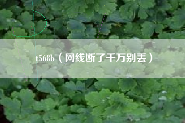 t568b（网线断了千万别丢）