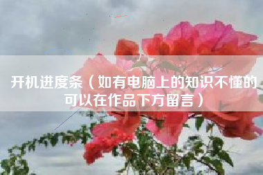 开机进度条（如有电脑上的知识不懂的可以在作品下方留言）