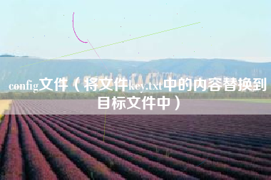 config文件（将文件key.txt中的内容替换到目标文件中）