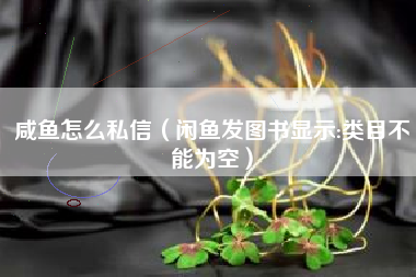 咸鱼怎么私信（闲鱼发图书显示:类目不能为空）