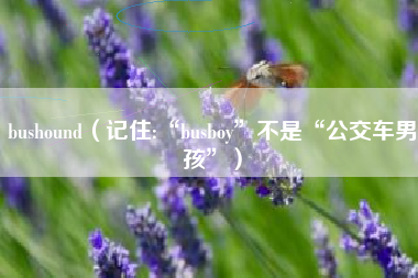 bushound（记住:“busboy”不是“公交车男孩”）