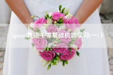 apriori算法（零基础机器学习(一)）