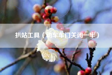 扒站工具（动车车门关闭一半）
