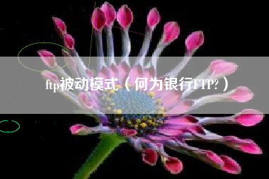 ftp被动模式（何为银行FTP?）