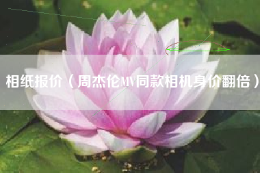 相纸报价（周杰伦MV同款相机身价翻倍）