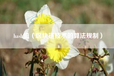 hash值（区块链技术的算法规制）