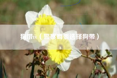 狗带tv（警察蜀黍选择狗带）