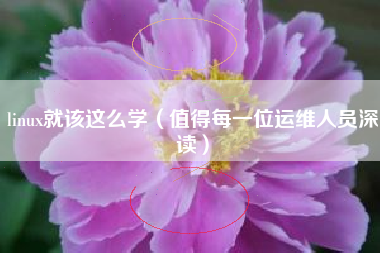 linux就该这么学（值得每一位运维人员深读）